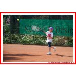 Strolchturnier 2014_19.jpg